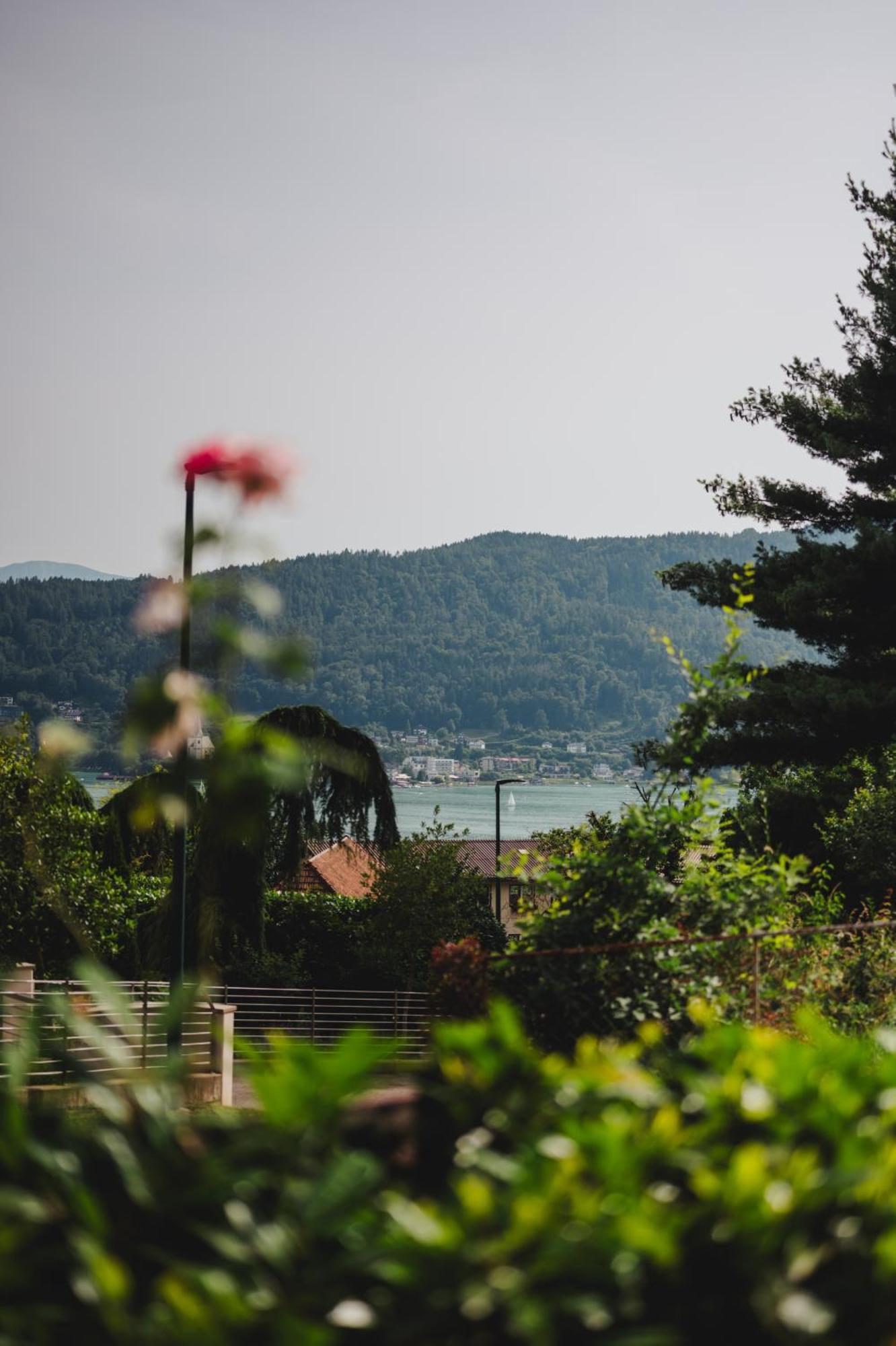 Die Labsalerie - Urlauben Am Woerthersee Пёрчах-ам-Вёртерзе Экстерьер фото